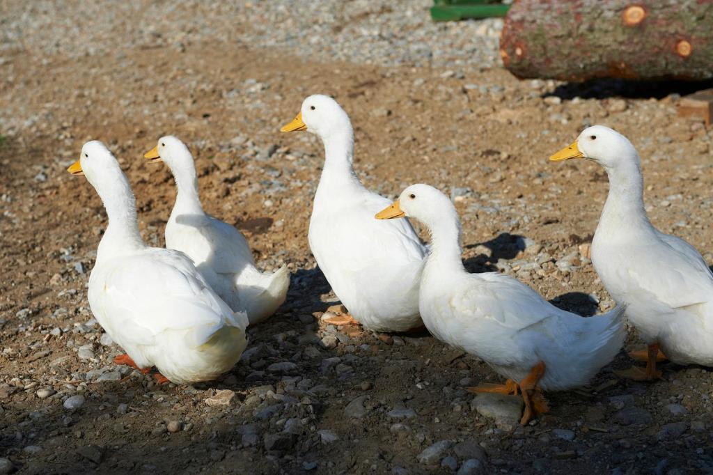 מלון Fram Tourist Farm Stern Pri Kovacniku מראה חיצוני תמונה